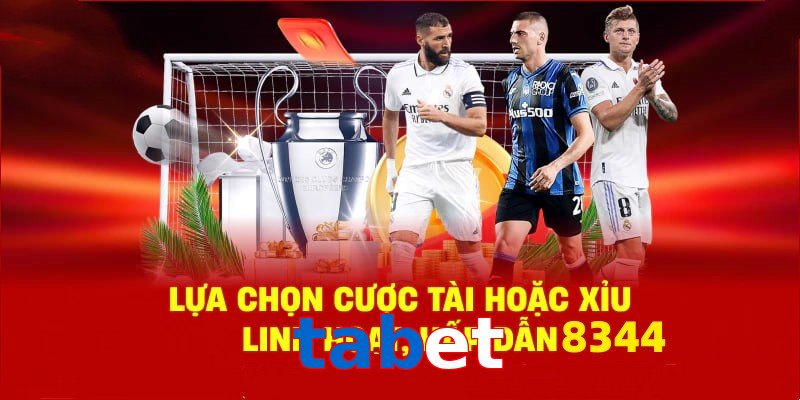 Danh mục đa dạng, đoán chuẩn là nhận tiền